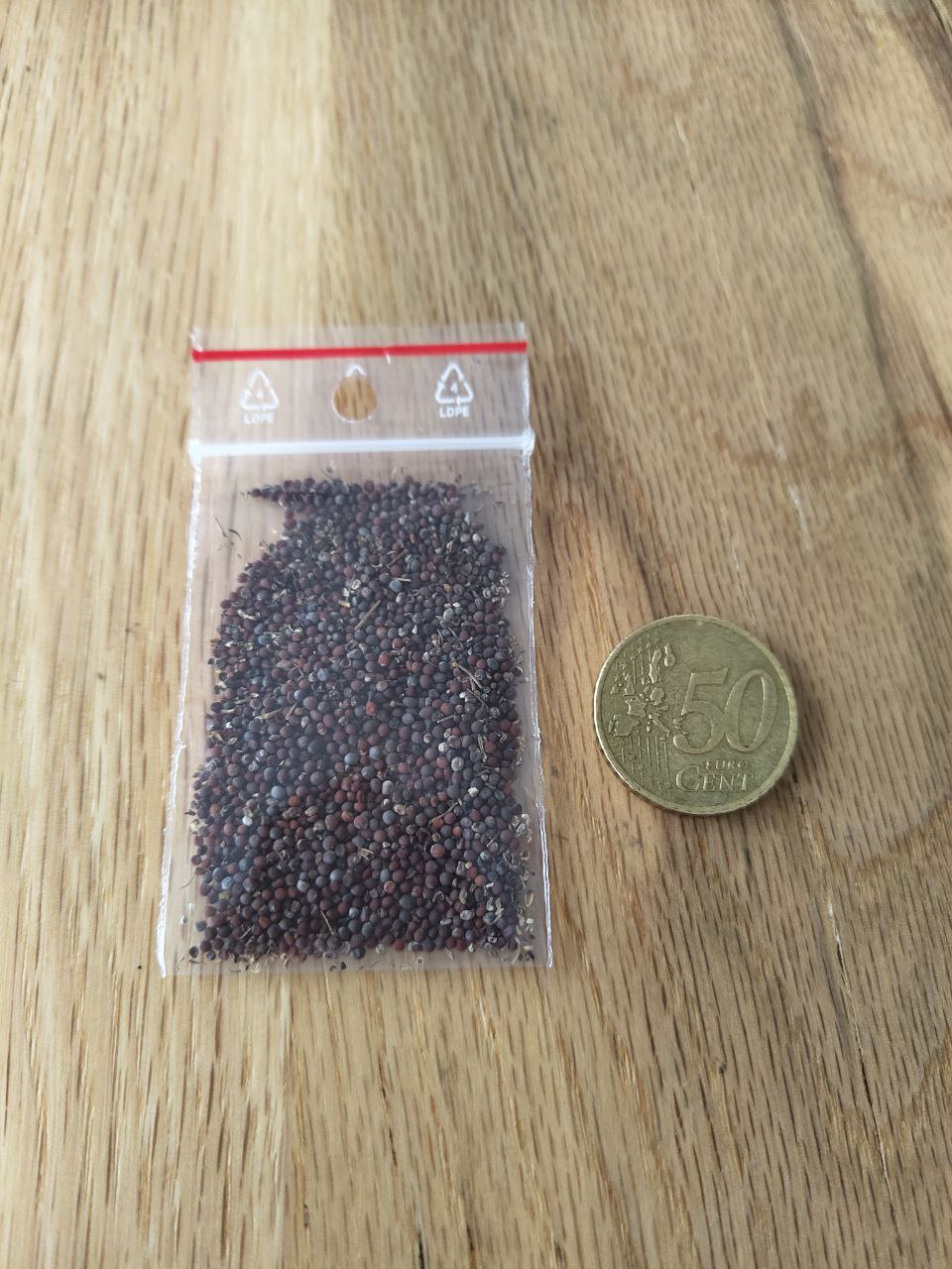 2g Asiasalat Bio Samen Mizuna Wasabino Salat